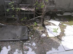 <img300*0:stuff/z/1/Chernobyl2008/p1010086.jpg>