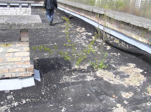 <img300*0:stuff/z/1/Chernobyl2008/p1010088.jpg>