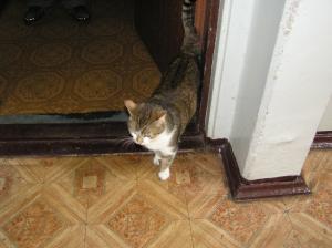 <img300*0:stuff/z/1/Chernobyl2008/p1010116.jpg>
