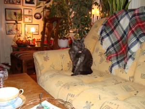 <img300*0:stuff/z/1/Chistmas%2520Day%25202008/dsc00862.jpg>