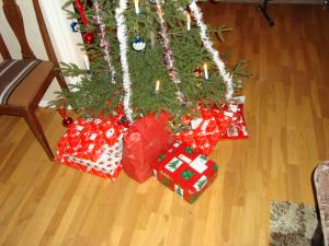 <img300*0:stuff/z/1/Chistmas%2520Day%25202008/dsc00865.jpg>