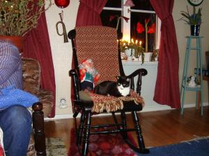 <img300*0:stuff/z/1/Chistmas%2520Day%25202008/dsc00869.jpg>