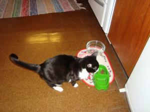 <img300*0:stuff/z/1/Chistmas%2520Day%25202008/dsc00874.jpg>
