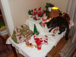 <img300*0:stuff/z/1/Chistmas%2520Day%25202008/dsc00881.jpg>