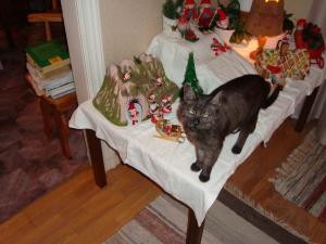 <img300*0:stuff/z/1/Chistmas%2520Day%25202008/dsc00882.jpg>