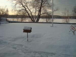 <img300*0:stuff/z/1/Chistmas%2520Day%25202008/dsc00886.jpg>