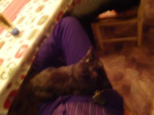 <img300*0:stuff/z/1/Christmas2011/dsc05997.jpg>