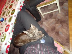 <img300*0:stuff/z/1/Christmas2011/dsc05998.jpg>