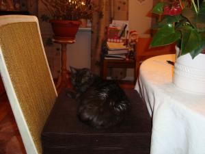 <img300*0:stuff/z/1/ChristmasEve2010/dsc00615.jpg>