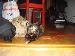 <img300*0:stuff/z/1/Cosmo2010/DSC09373.JPG>