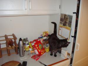 <img300*0:stuff/z/1/Cosmo2010/DSC09377.JPG>