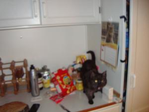 <img300*0:stuff/z/1/Cosmo2010/DSC09378.JPG>