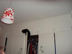 <img300*0:stuff/z/1/Cosmo2010/DSC09384.JPG>