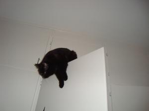 <img300*0:stuff/z/1/Cosmo2010/DSC09385.JPG>