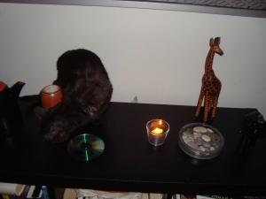 <img300*0:stuff/z/1/Cosmo2010/DSC09389.JPG>