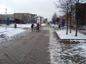 <img300*0:stuff/z/1/DomD2009/DSC01500.JPG>
