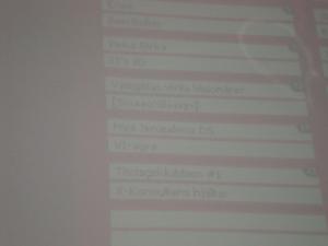 <img300*0:stuff/z/1/DomD2009/DSC01510.JPG>
