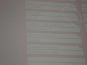 <img300*0:stuff/z/1/DomD2009/DSC01511.JPG>