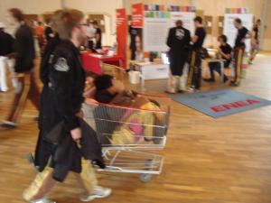 <img300*0:stuff/z/1/DomD2010/DSC09788.JPG>