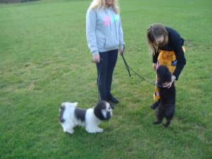 <img300*0:stuff/z/1/ESN_Overalls/DSC06287.JPG>