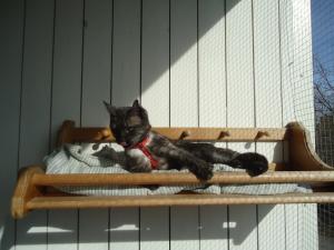 <img300*0:stuff/z/1/ElftownCrashParty/DSC06270.JPG>