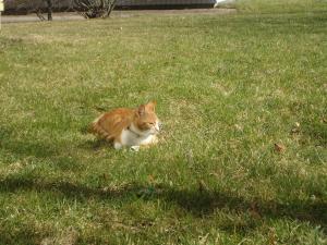 <img300*0:stuff/z/1/ElftownCrashParty/DSC06276.JPG>