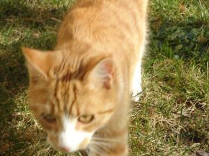 <img300*0:stuff/z/1/ElftownCrashParty/DSC06277.JPG>