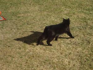 <img300*0:stuff/z/1/ElftownCrashParty/DSC06299.JPG>