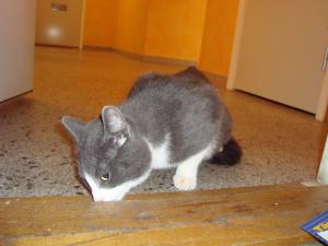 <img300*0:stuff/z/1/EskilLilo/DSC01899.JPG>
