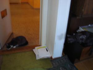 <img300*0:stuff/z/1/EskilLilo/DSC01901.JPG>