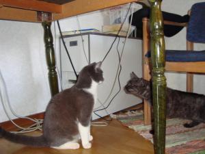 <img300*0:stuff/z/1/EskilLilo/DSC01902.JPG>