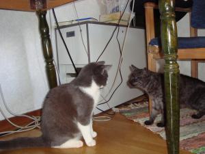 <img300*0:stuff/z/1/EskilLilo/DSC01903.JPG>