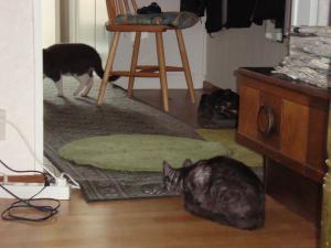<img300*0:stuff/z/1/EskilLilo/DSC01907.JPG>