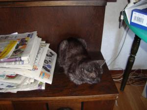 <img300*0:stuff/z/1/EskilLilo/DSC01908.JPG>