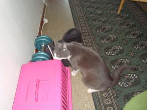 <img300*0:stuff/z/1/EskilLilo/DSC01909.JPG>
