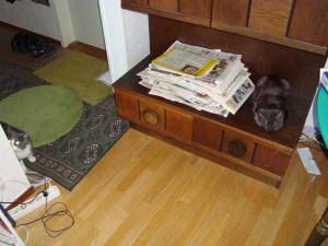 <img300*0:stuff/z/1/EskilLilo/DSC01910.JPG>