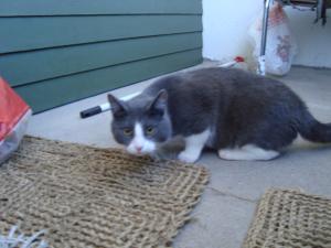 <img300*0:stuff/z/1/EskilLilo/DSC01911.JPG>
