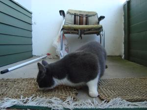 <img300*0:stuff/z/1/EskilLilo/DSC01912.JPG>