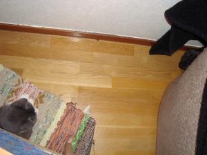 <img300*0:stuff/z/1/EskilLilo/DSC01917.JPG>
