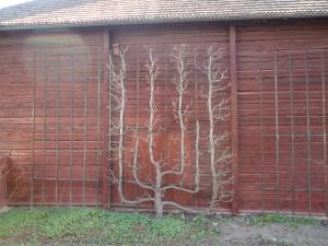 <img300*0:stuff/z/1/ExcursionOmberg/DSC07978.JPG>