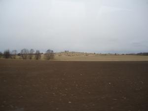 <img300*0:stuff/z/1/ExcursionOmberg/DSC07987.JPG>