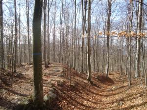 <img300*0:stuff/z/1/ExcursionOmberg/DSC07998.JPG>