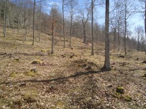 <img300*0:stuff/z/1/ExcursionOmberg/DSC08031.JPG>