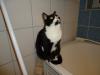 Faddertok2010