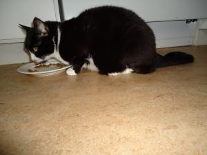 <img300*0:stuff/z/1/Faddertok2010/dsc01938.jpg>