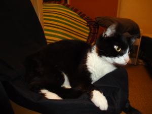 <img300*0:stuff/z/1/Fatoppning/dsc01877.jpg>