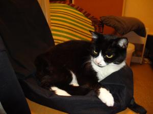 <img300*0:stuff/z/1/Fatoppning/dsc01878.jpg>
