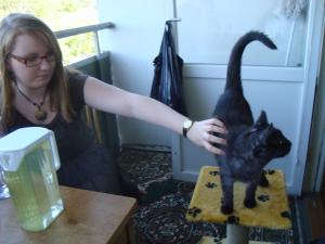 <img300*0:stuff/z/1/Fatoppning2009/DSC05066.JPG>