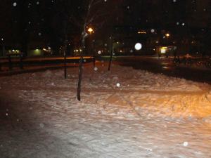 <img300*0:stuff/z/1/FattÃ¶mning%25202008/dsc00703.jpg>
