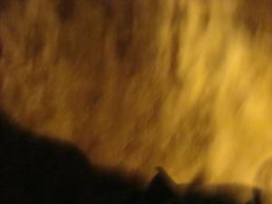 <img300*0:stuff/z/1/FattÃ¶mning%25202008/dsc00756.jpg>